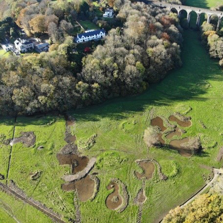 Aerial View of new ponds and scrapes