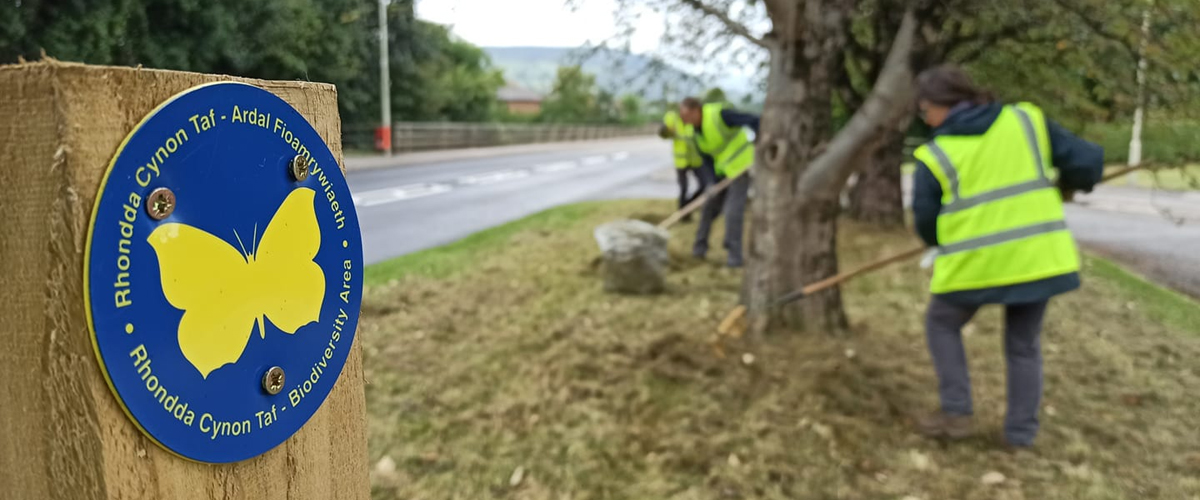 Rhondda Cynon Taff’s Community Action for Nature Group