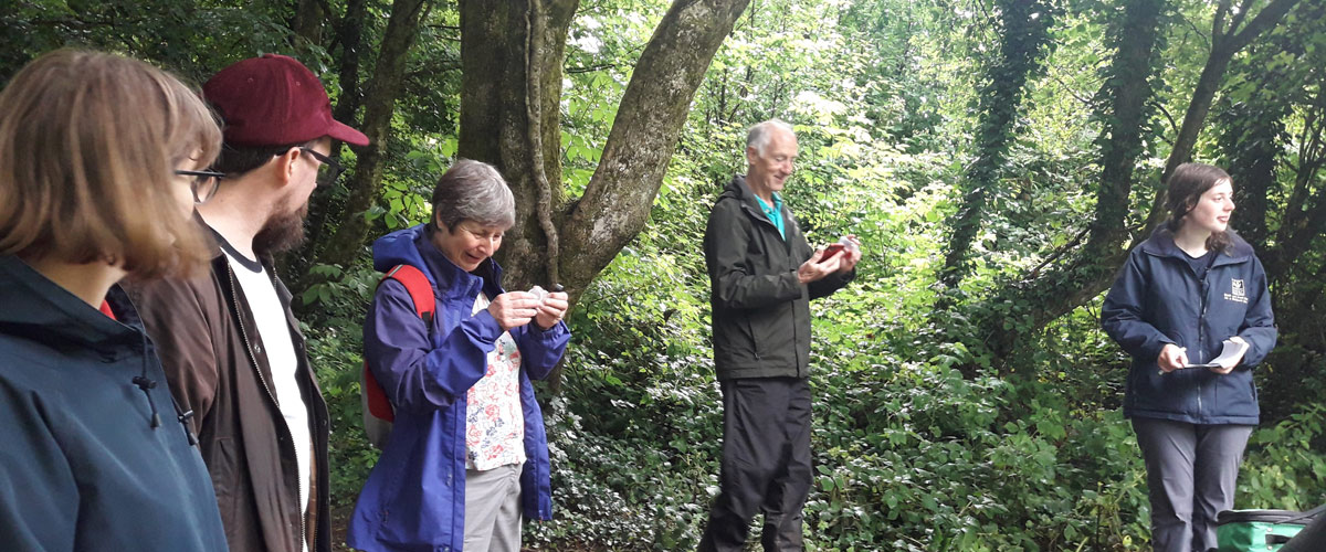 Cardiff Local Nature Partnership Involving Volunteers in Pollinator Projects