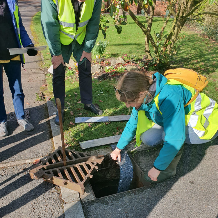 LNP Coordinator Rose Revera fitting a toad ladder