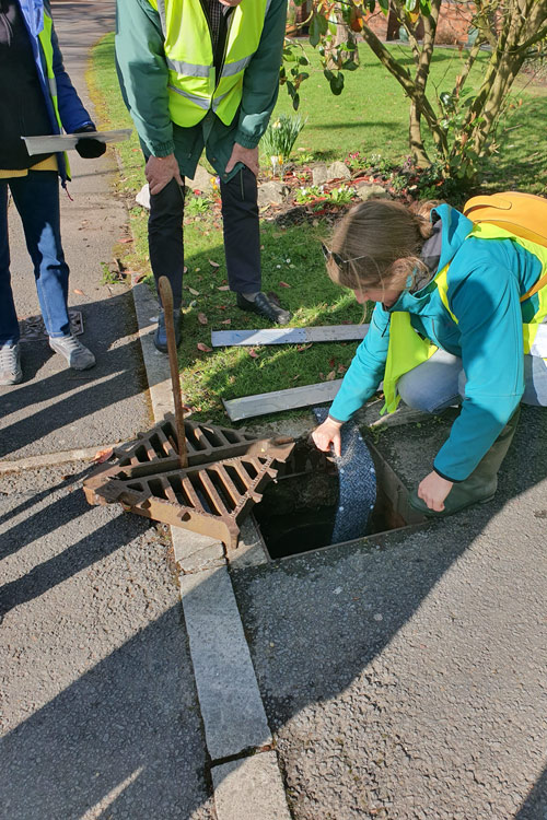 LNP Coordinator Rose Revera fitting a toad ladder