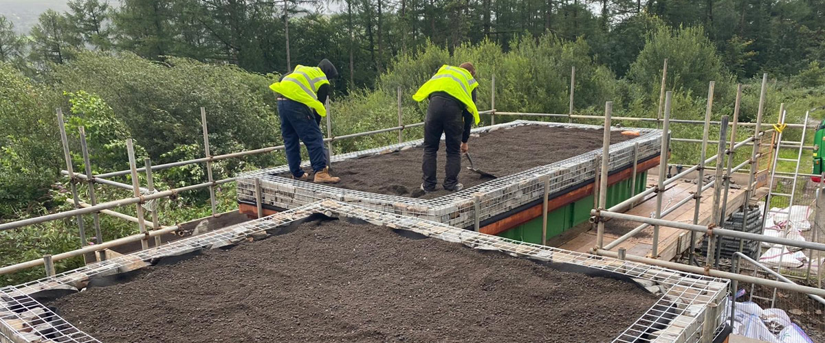 A biodiverse green roof ready for planting