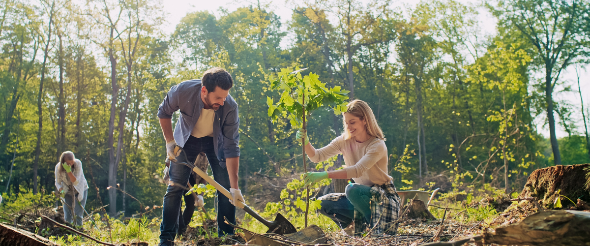 Monmouthshire Community Nature Spaces and Green Corridors