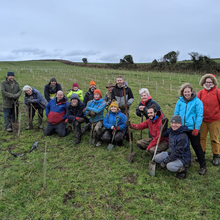 Plant Pembrokeshire