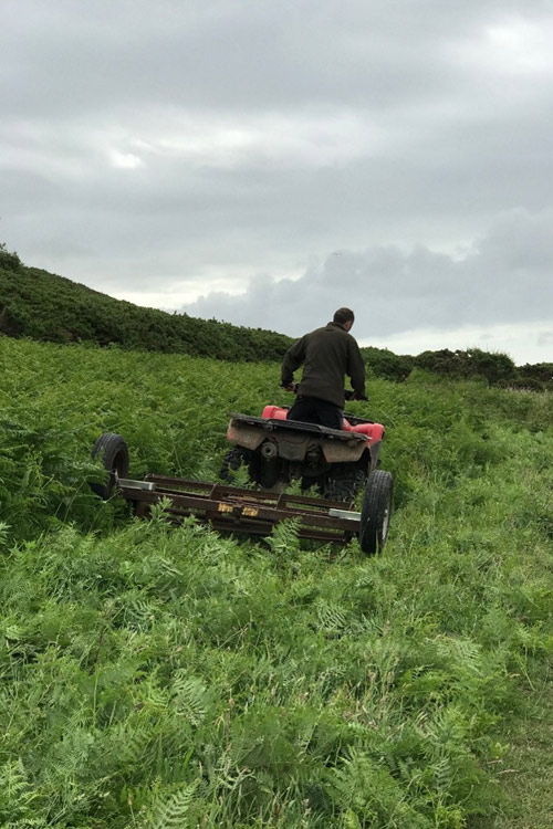 Gwarchodfa Natur Leol Clogwyni Pwll Du yn cael ei reoli gan feic cwad a rholiwr