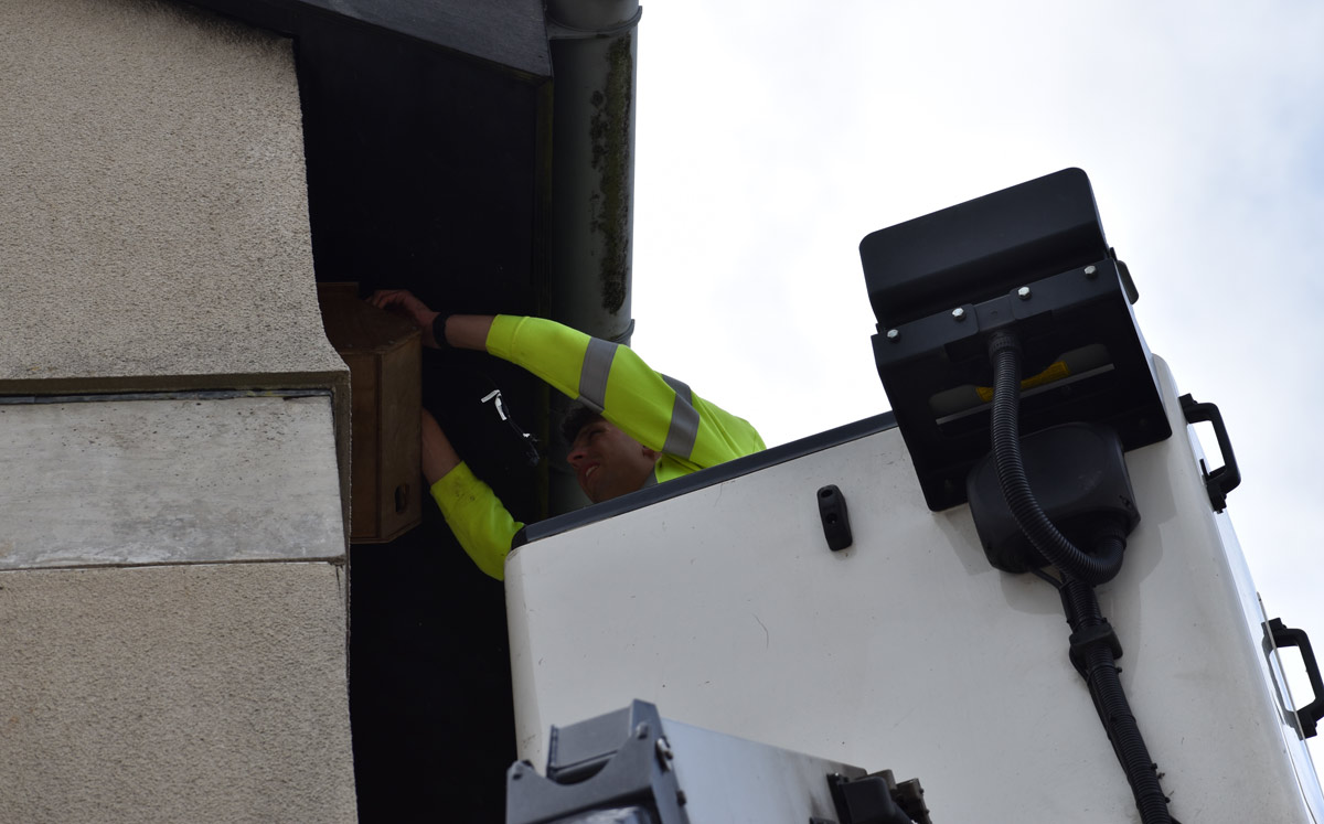 A swift nest box being installed