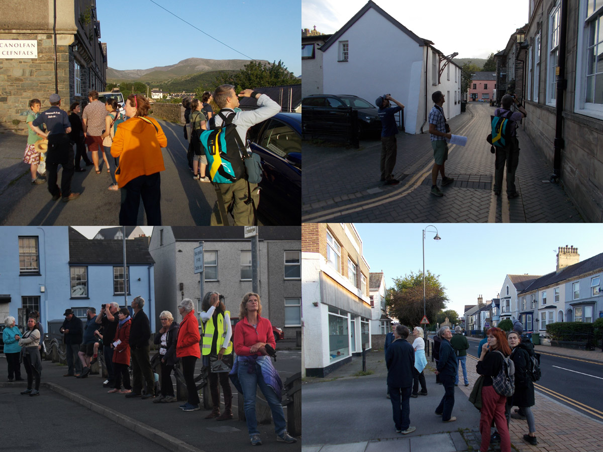 Volunteers gather to survey endangered swifts and house martins