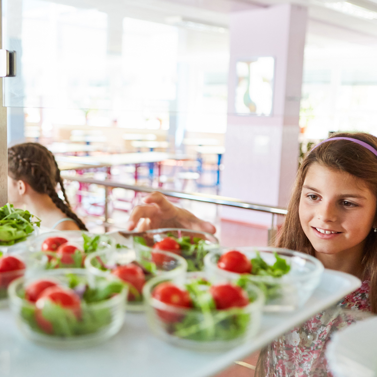 Welsh Veg in Schools