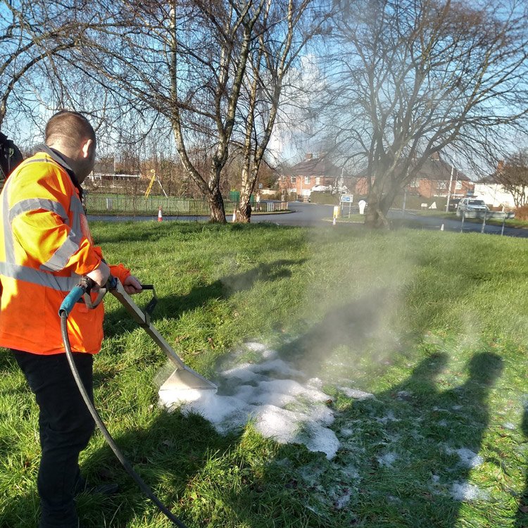 Environmentally Friendly Weed Control in Flintshire