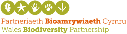 Partneriaeth Bioamrywiaeth Cymru